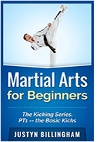 Martial Arts For Beginners Book
